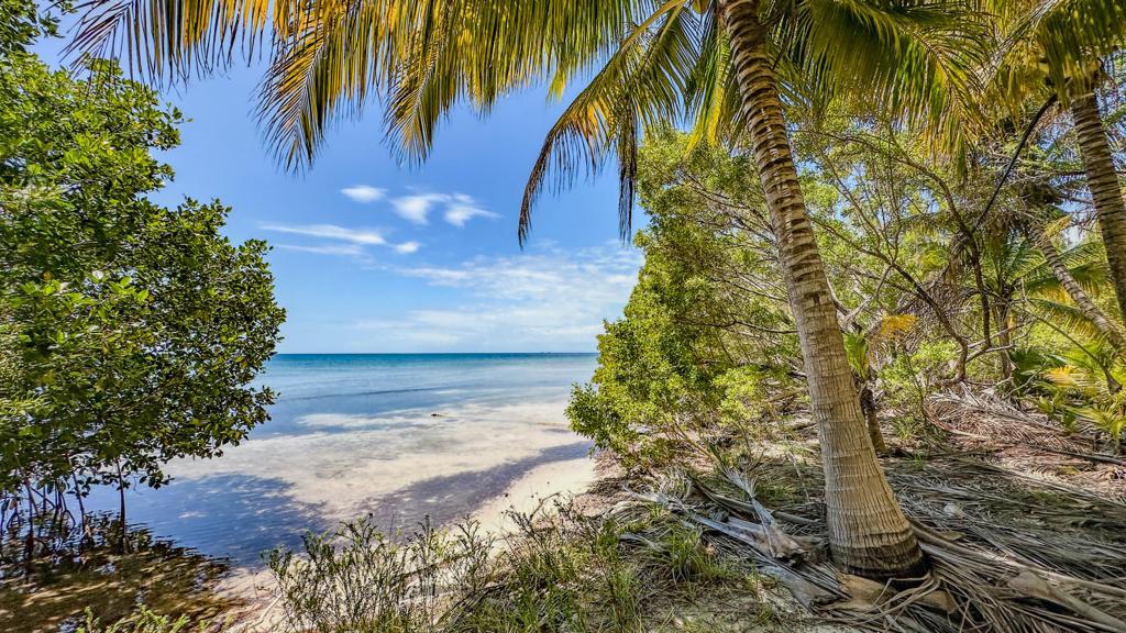 listing image with ID 73660