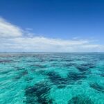 listing image thumbnail with ID 73653