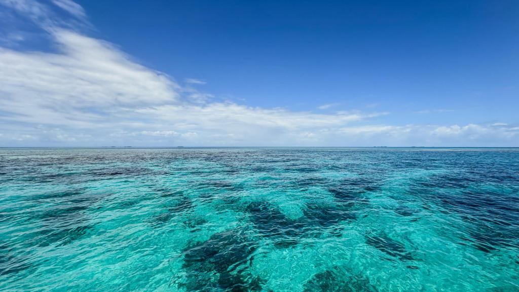 listing image with ID 73653