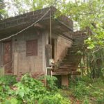 listing image thumbnail with ID 73334