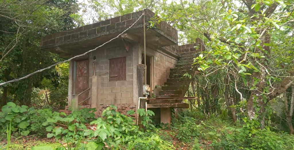 listing image with ID 73334