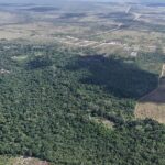 listing image thumbnail with ID 74186