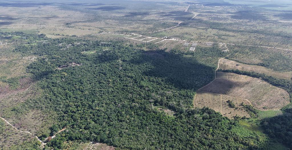 listing image with ID 74186