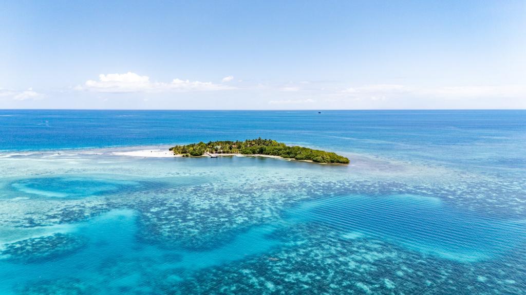 listing image with ID 73634