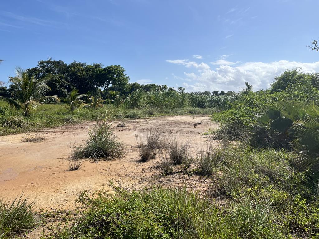 listing image with ID 73718