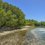 listing image thumbnail with ID 73657