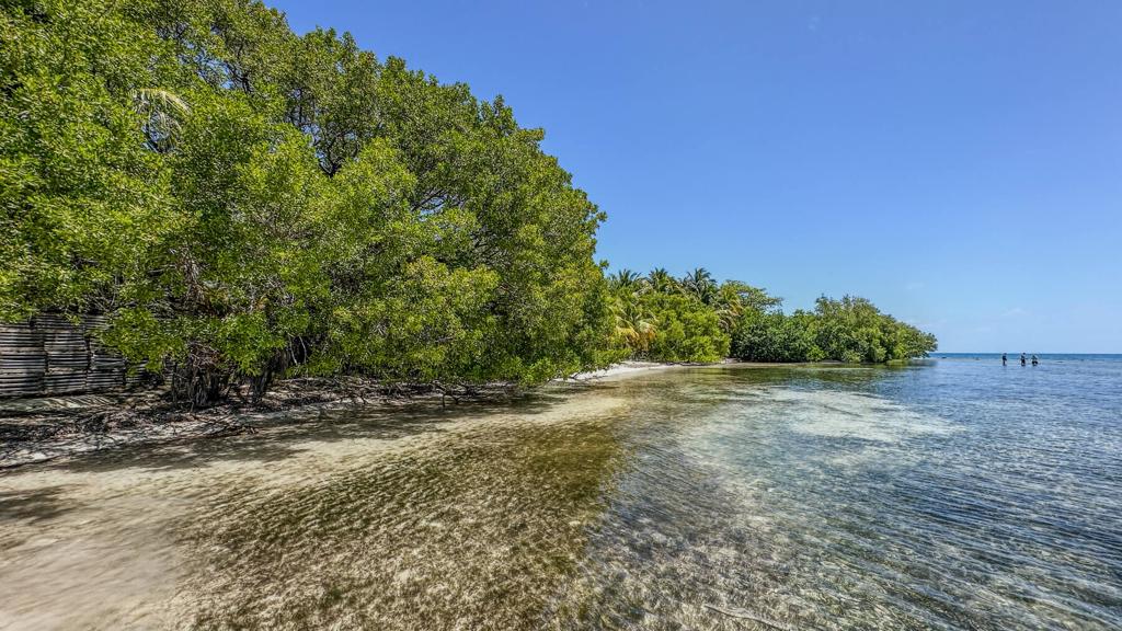 listing image with ID 73657