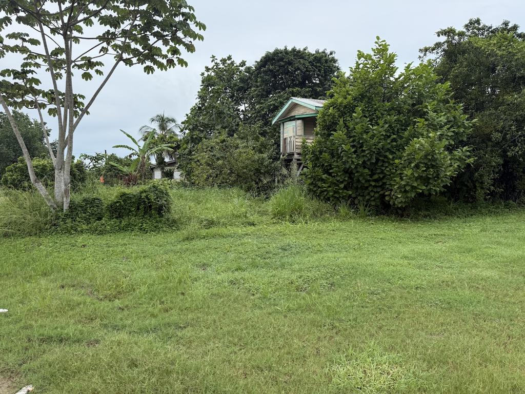 listing image with ID 73931