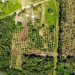 listing image thumbnail with ID 73455