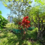 listing image thumbnail with ID 74121