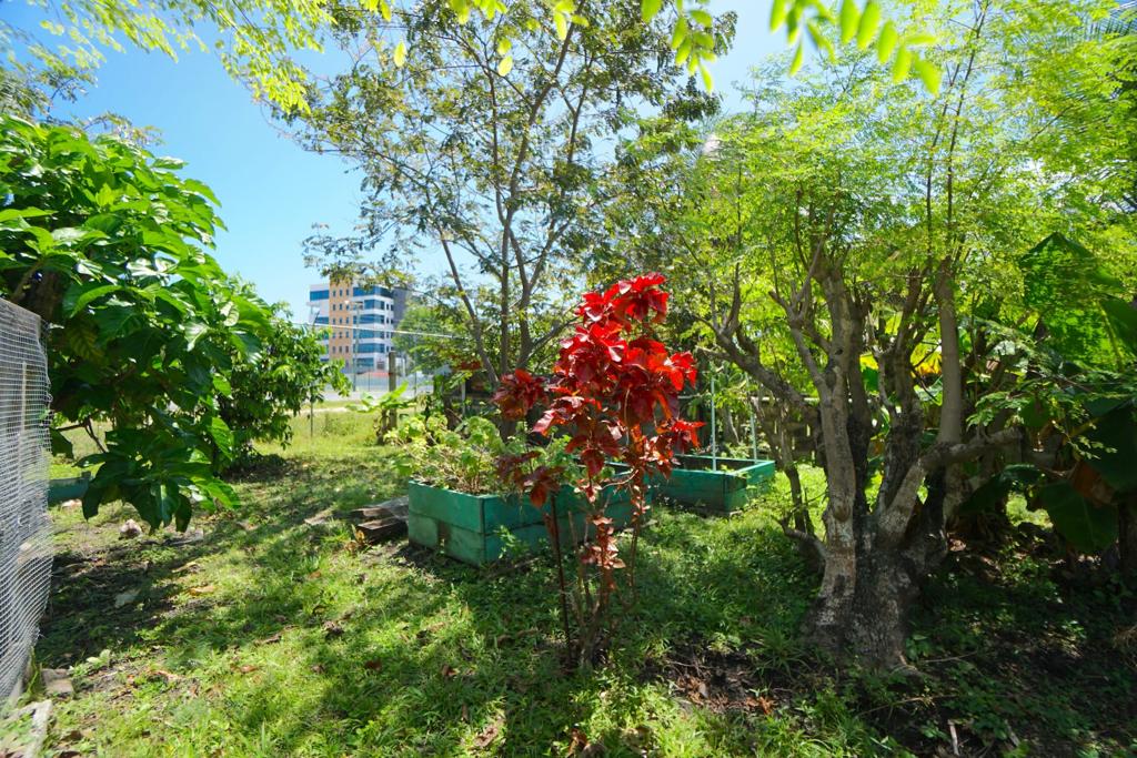 listing image with ID 74121