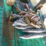 listing image thumbnail with ID 73314