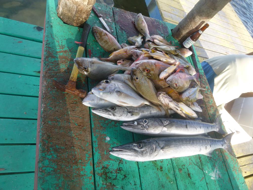 listing image with ID 73314