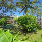 listing image thumbnail with ID 74120