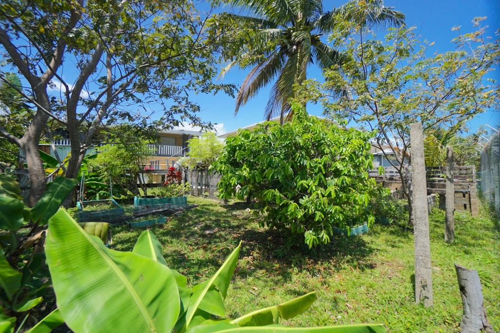 listing image with ID 74120