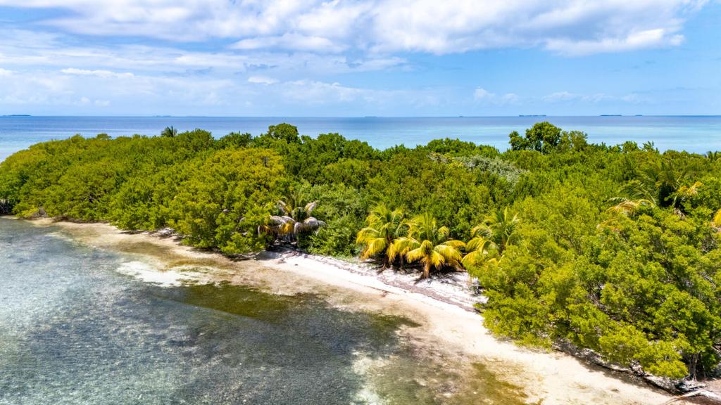 listing image with ID 73640