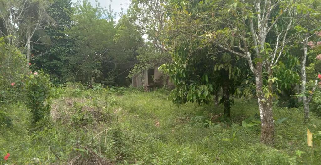 listing image with ID 73336