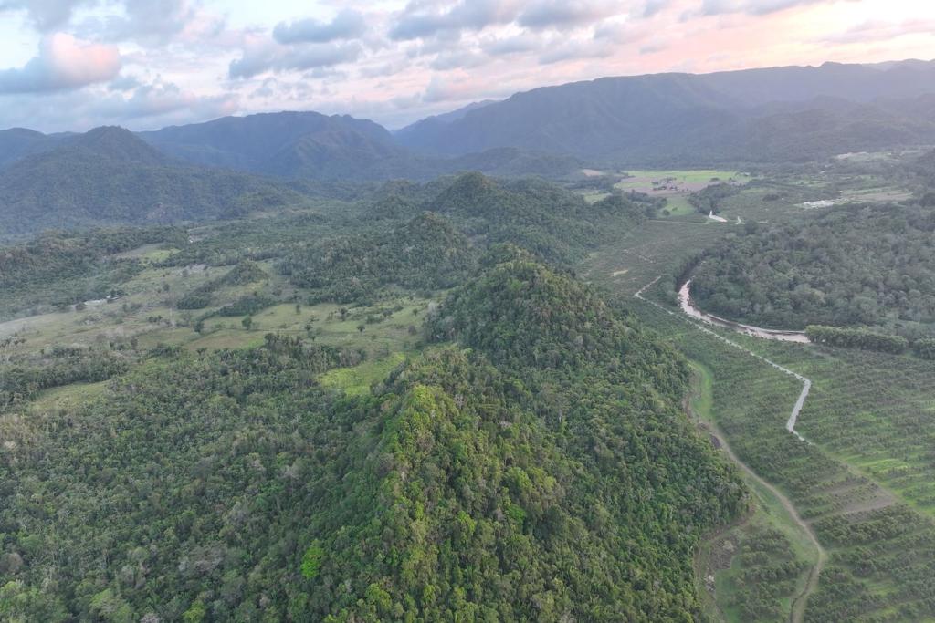 listing image with ID 73825