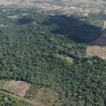 listing image thumbnail with ID 74071