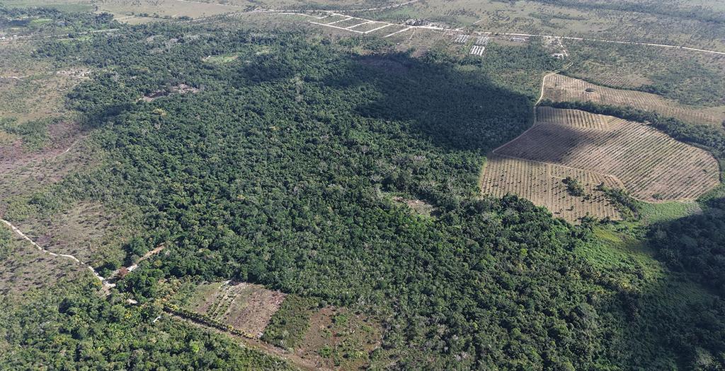 listing image with ID 74071