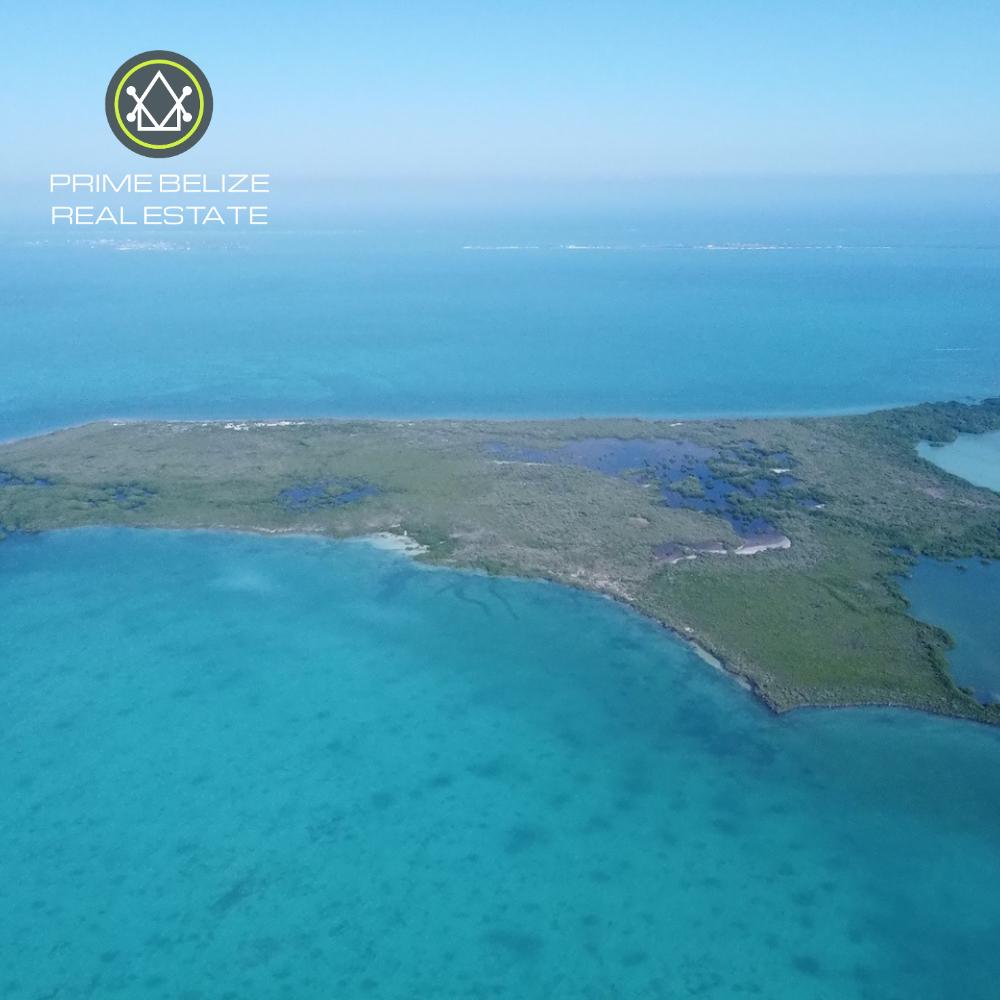 listing image with ID 74039