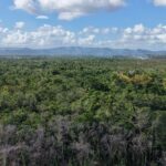 listing image thumbnail with ID 74175