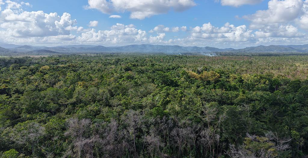 listing image with ID 74175