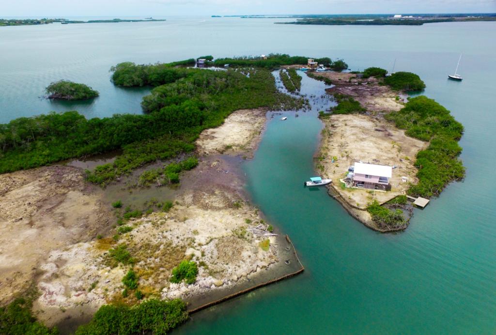 listing image with ID 74075