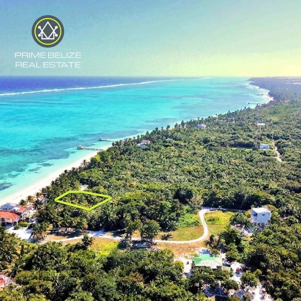 listing image with ID 73356