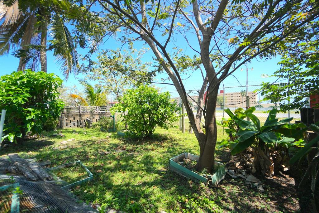 listing image with ID 74119