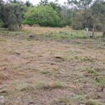 listing image thumbnail with ID 73688