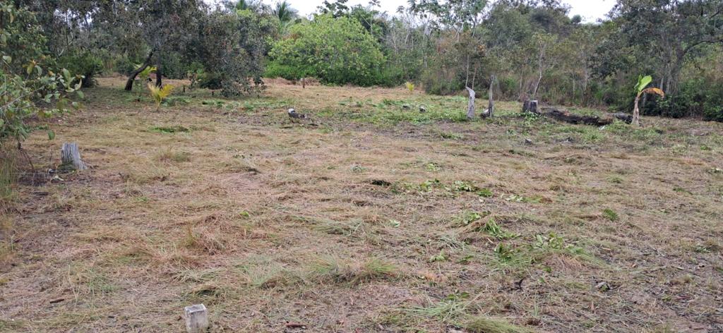 listing image with ID 73688