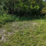 listing image thumbnail with ID 73547