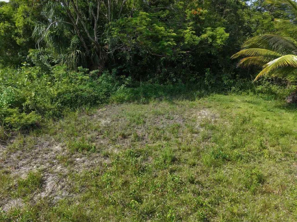 listing image with ID 73547