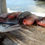 listing image thumbnail with ID 73316