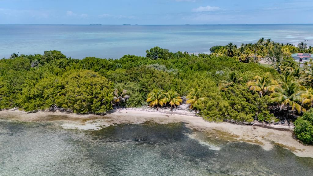 listing image with ID 73643