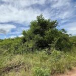 listing image thumbnail with ID 73213