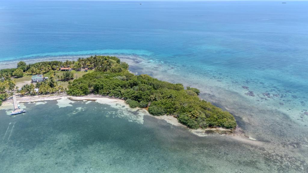 listing image with ID 73648