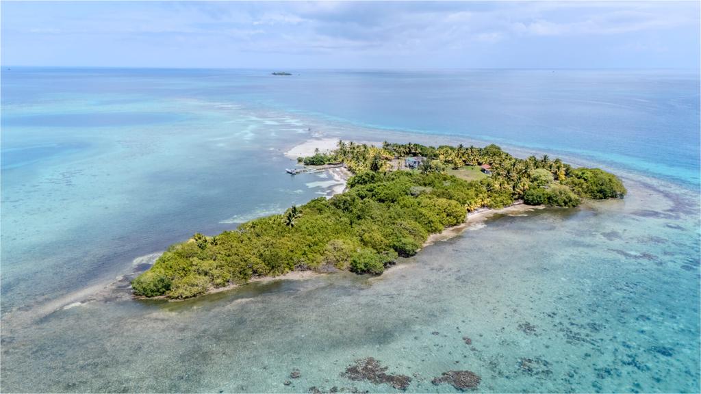 listing image with ID 73646