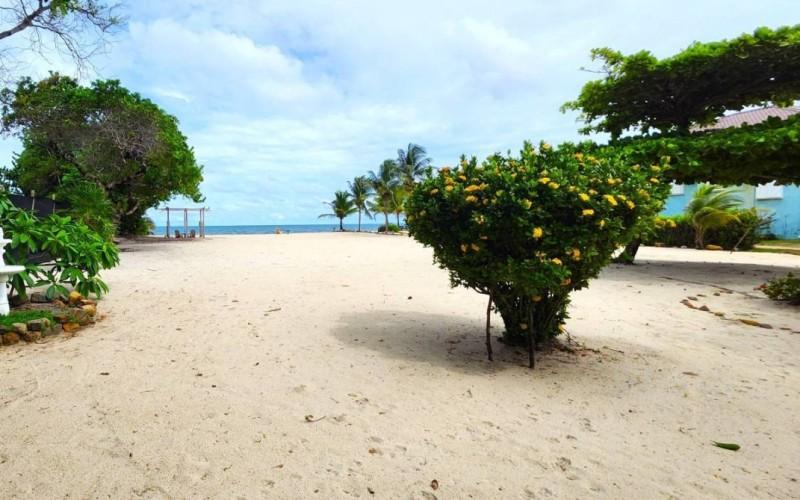 listing image with ID 73126