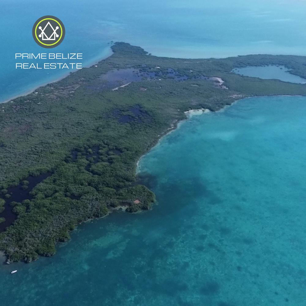 listing image with ID 74041