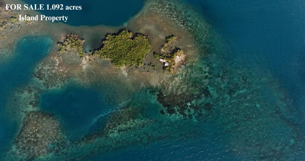 listing image with ID 74045