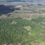 listing image thumbnail with ID 74190