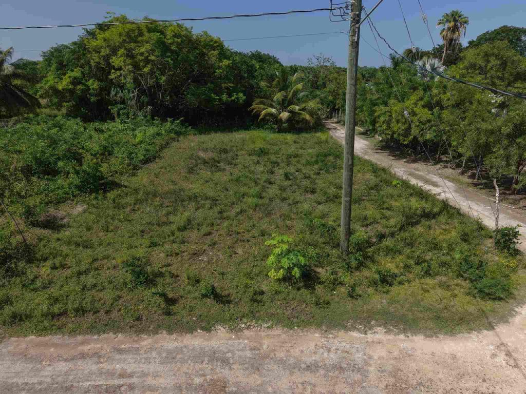 listing image with ID 73548