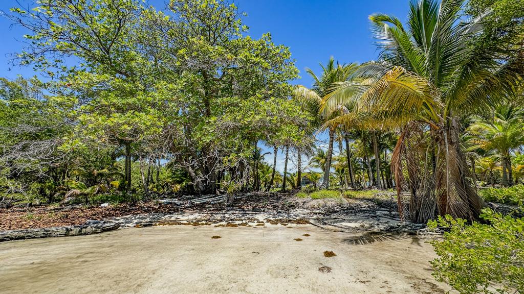 listing image with ID 73662