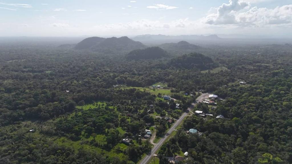 listing image with ID 72986