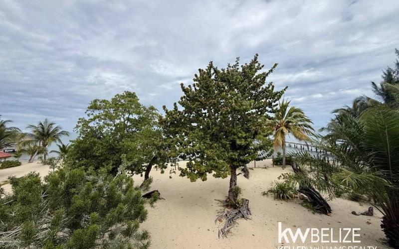 listing image with ID 73170