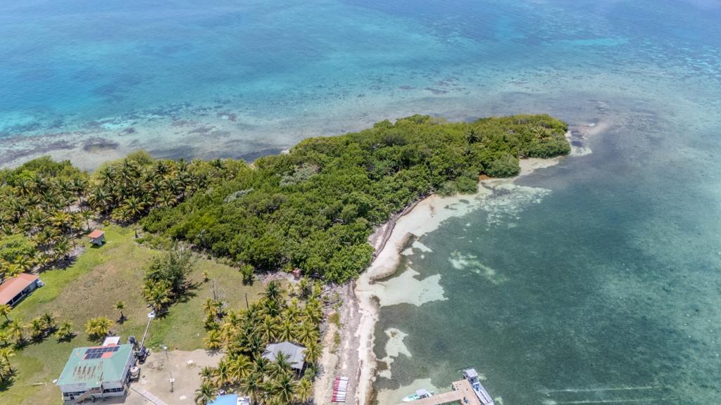 listing image with ID 73647