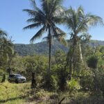 listing image thumbnail with ID 73329