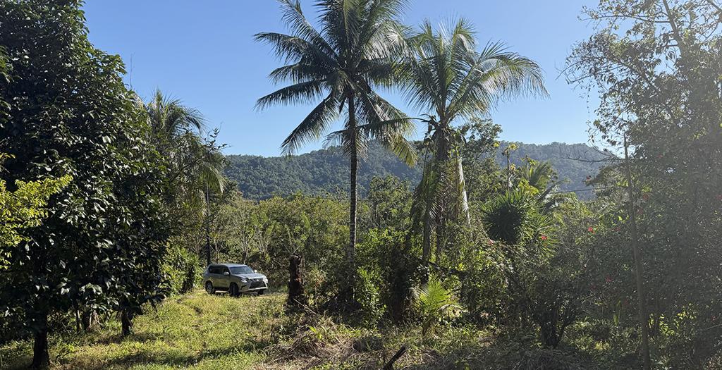 listing image with ID 73329